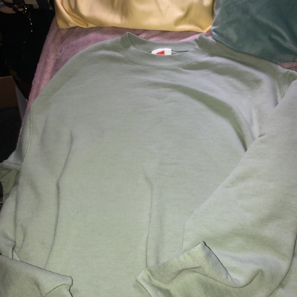 Brand New Without Tags Hanes Sweatshirt G